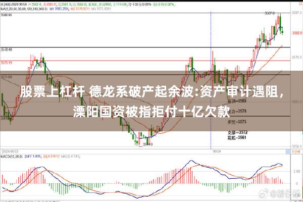 股票上杠杆 德龙系破产起余波:资产审计遇阻，溧阳国资被指拒付十亿欠款