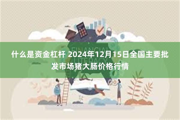 什么是资金杠杆 2024年12月15日全国主要批发市场猪大肠价格行情