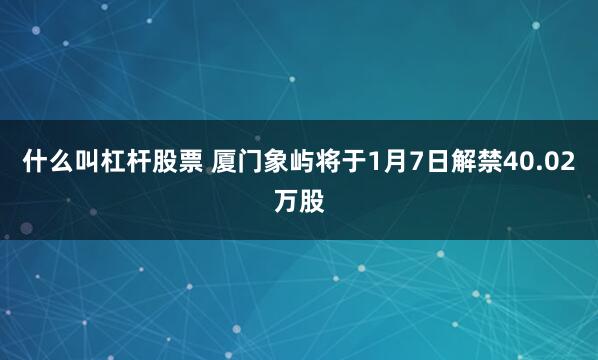 什么叫杠杆股票 厦门象屿将于1月7日解禁40.02万股