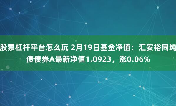 股票杠杆平台怎么玩 2月19日基金净值：汇安裕同纯债债券A最新净值1.0923，涨0.06%