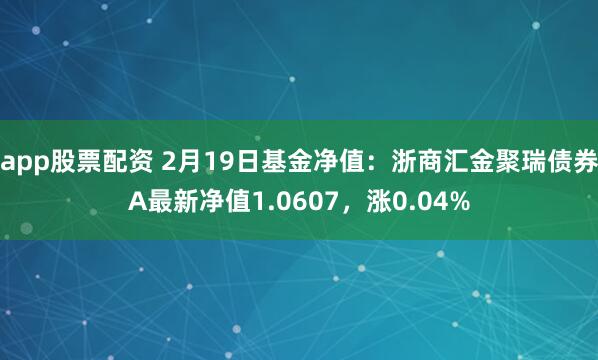 app股票配资 2月19日基金净值：浙商汇金聚瑞债券A最新净值1.0607，涨0.04%