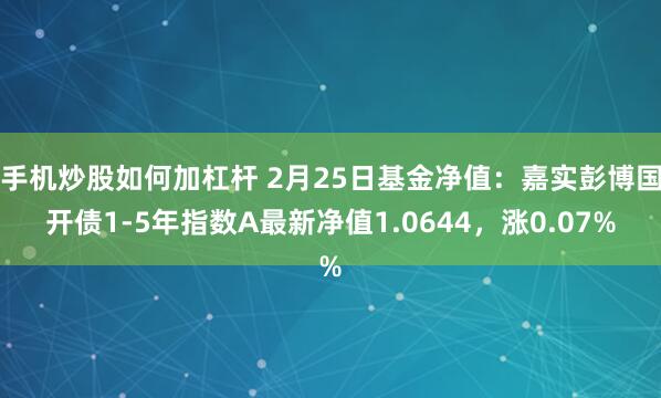 手机炒股如何加杠杆 2月25日基金净值：嘉实彭博国开债1-5年指数A最新净值1.0644，涨0.07%